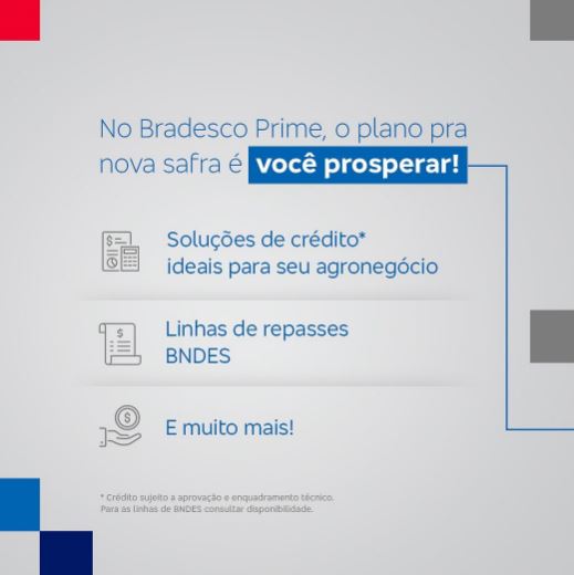 No Bradesco Prime, o plano pra nova safra é você prosperar!